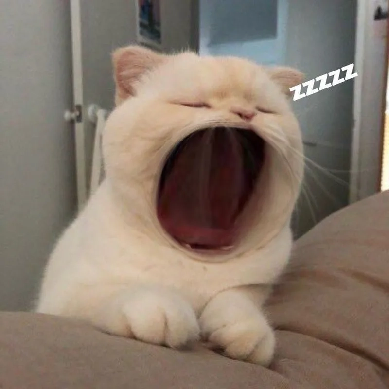 Bộ ảnh ảnh meme trung quốc viral cực nhanh