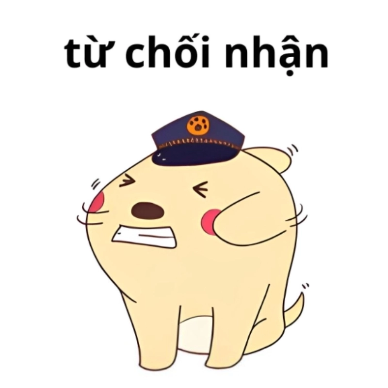 Bộ sưu tập meme xin từ chối độc lạ cực ngầu