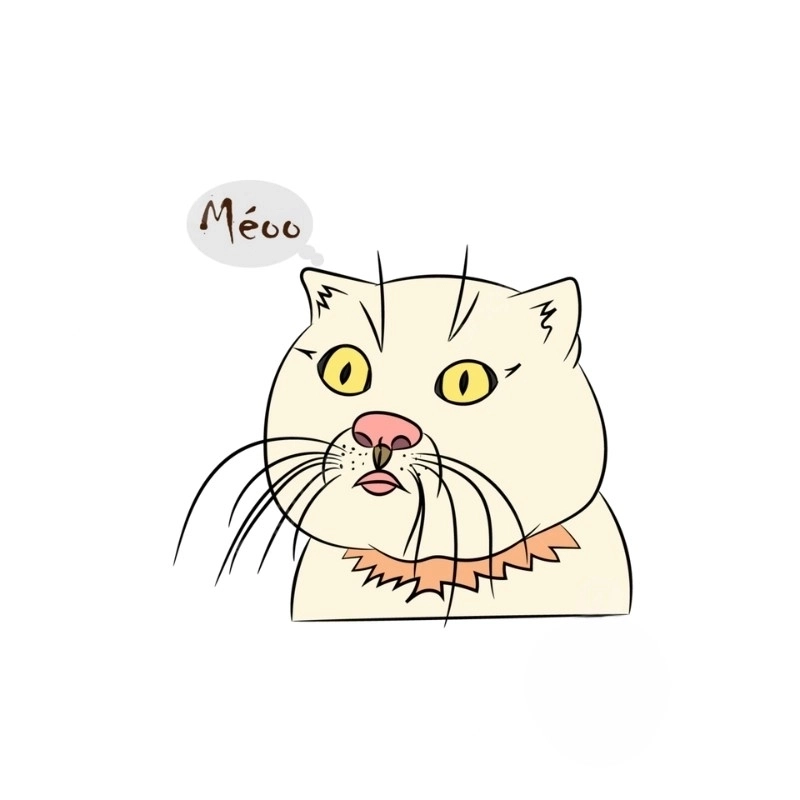 Kết hợp hài hước và dễ thương với loạt hình vẽ meme cute