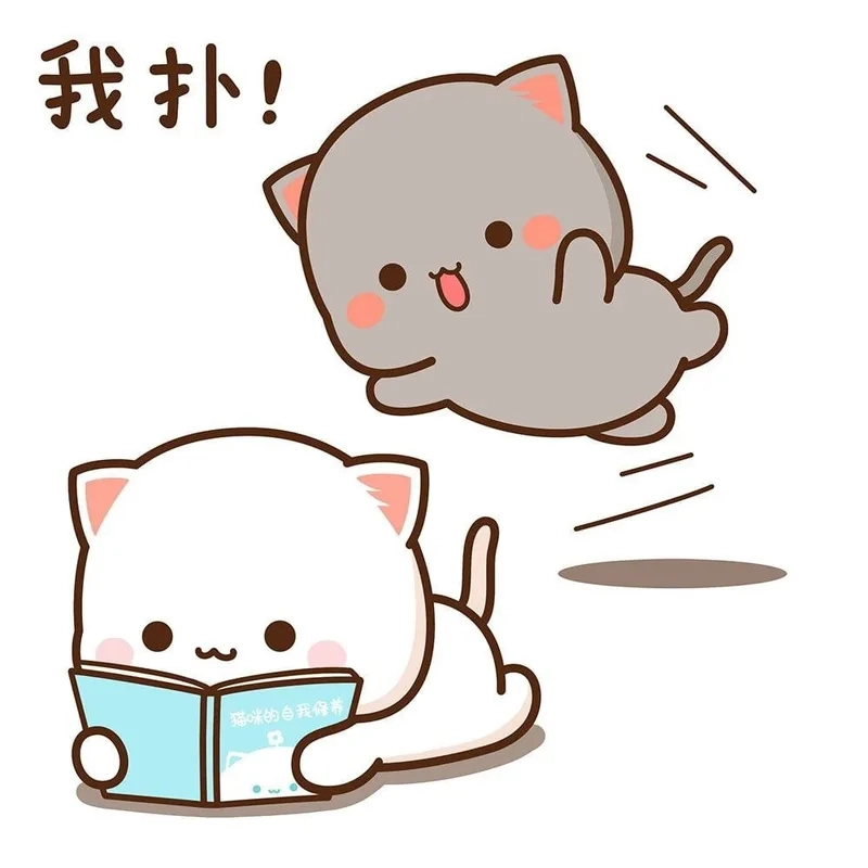 Mèo cute chibi có gì hot