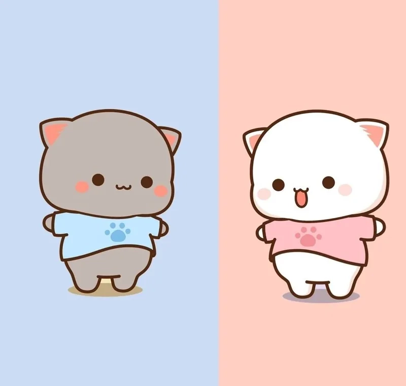Ngắm nhìn ảnh mèo cute chibi cực xinh