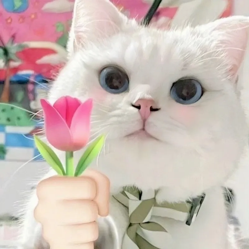 Tải ngay tặng hoa meme để thả thính ngọt ngào