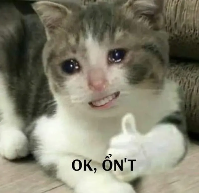 Khi crush đồng ý hết thì bạn chỉ còn ok memes