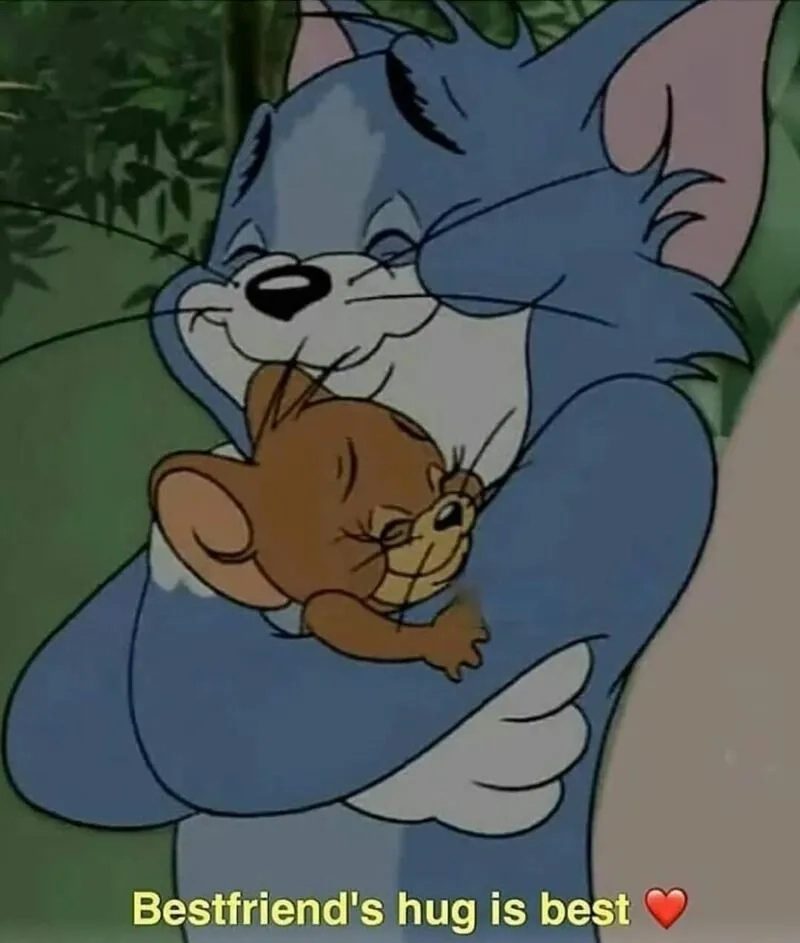 Cần chút an ủi thì đã có meme ôm cute ở đây