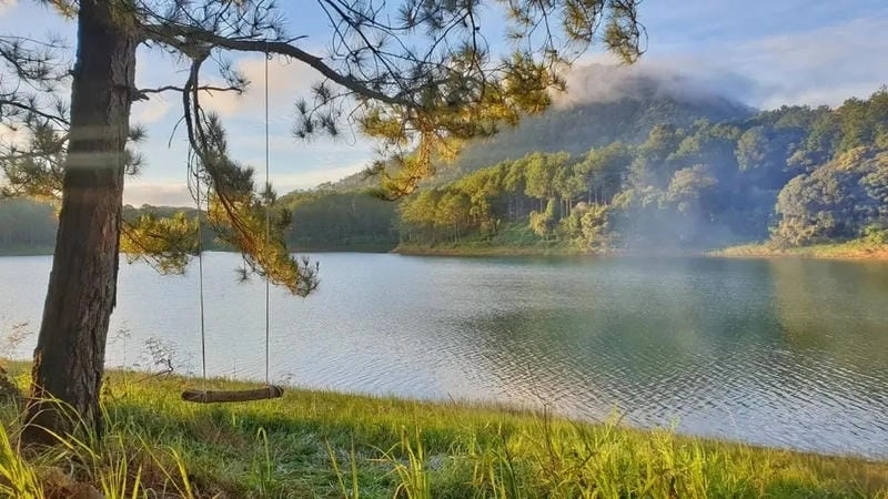 Cười sảng với phong cảnh Đà Lạt đồi thông