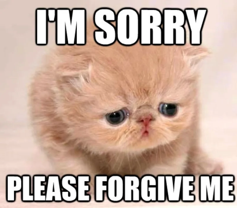 Ai đã thử pretty please meme chưa chắc chắn sẽ cười ngất