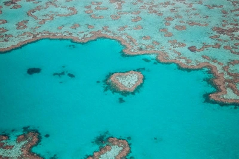 Tải ngay rạn san hô Great Barrier nên thơ