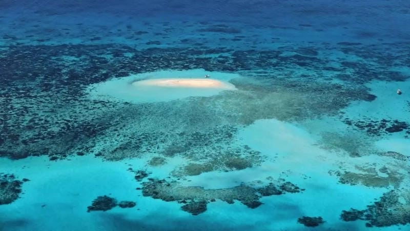 Lạc lối trong rạn san hô Great Barrier mê hoặc