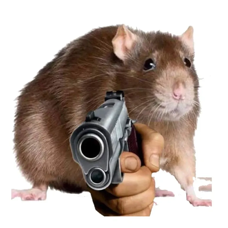 Mạng xã hội bùng nổ với rat in kitchen meme cực hài