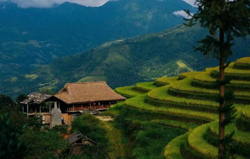 Cười sảng với ruộng bậc thang Sapa nổi tiếng