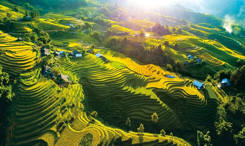 Tìm hiểu giới thiệu về tuyệt tác ruộng bậc thang Sapa