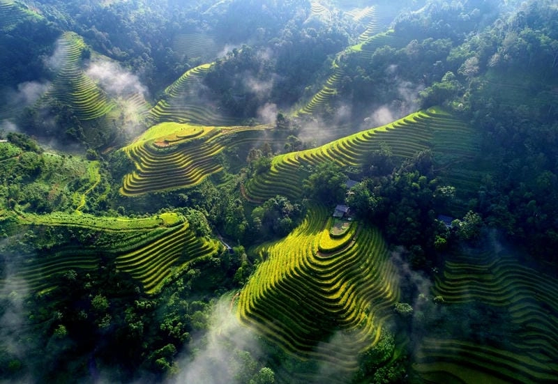 Thức dậy cùng ruộng bậc thang Sapa hùng vĩ