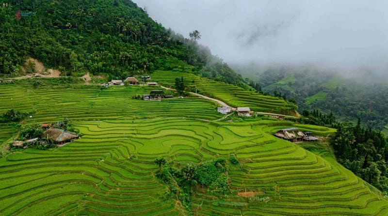 Sưu tầm những bức ruộng bậc thang Sapa hoàng hôn