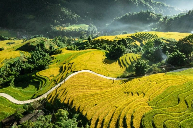 Cùng du ngoạn ruộng bậc thang Sapa xanh mướt