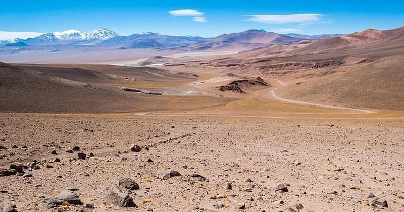 Đắm mình trong sa mạc Atacama kỳ vĩ