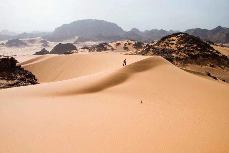 Lạc lối trong sa mạc Atacama mê hoặc