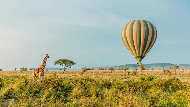 Lạc lối trong Serengeti mê hoặc