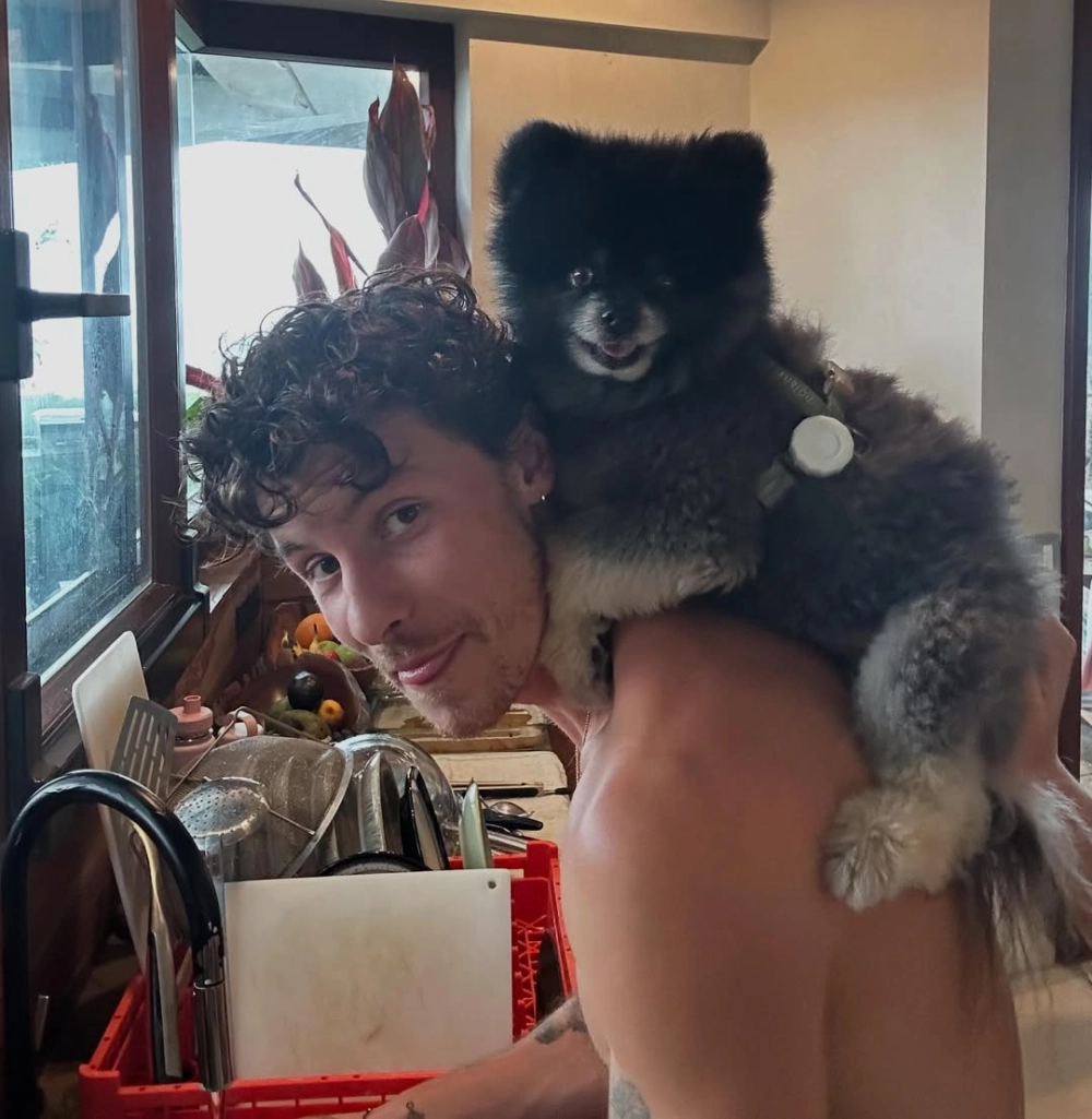 There's nothing holding me back Shawn Mendes bản hit sôi động, khuấy đảo mùa hè