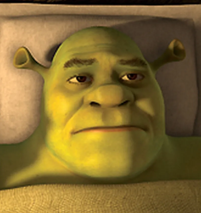 Biểu cảm giận dữ bá đạo ở angry shrek meme