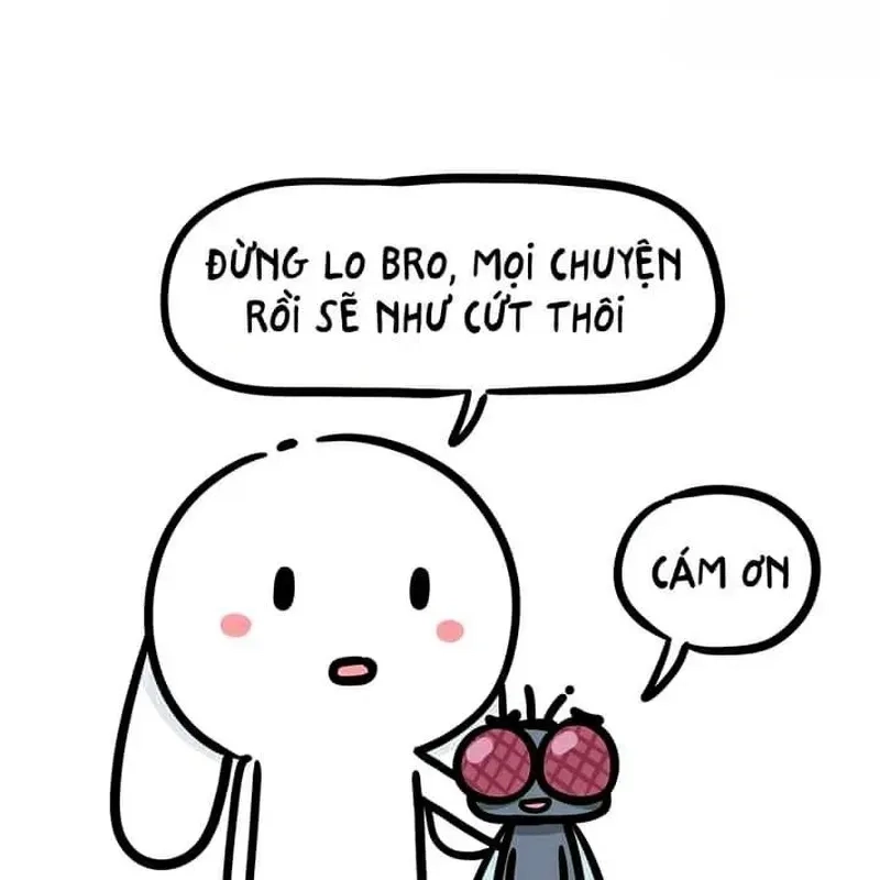 Khoảnh khắc hài hước được ghi lại qua ảnh meme thỏ chất lượng