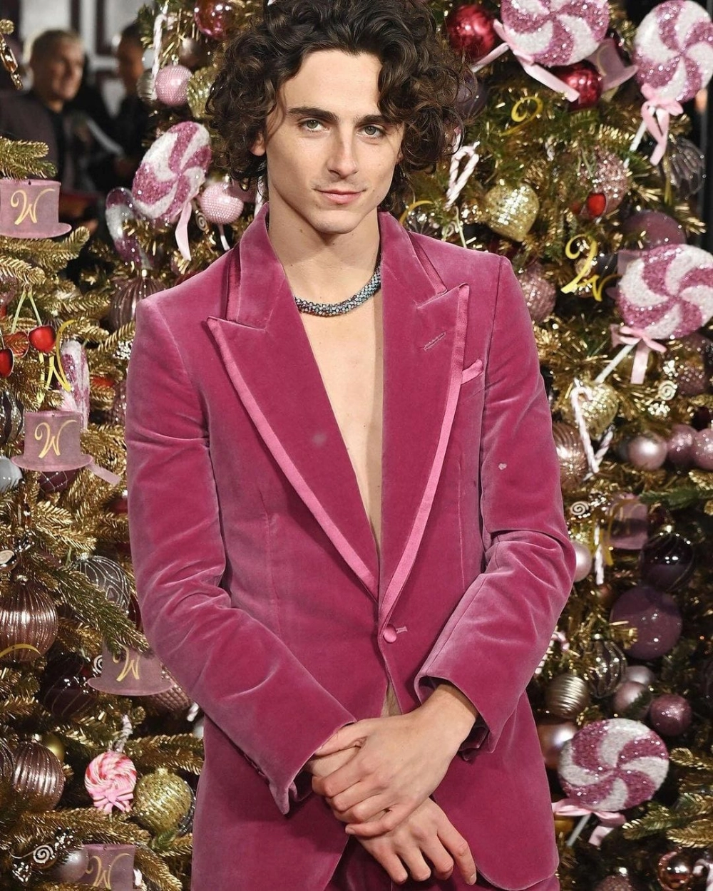 Timothée Chalamet education và hành trình học tập của nam diễn viên