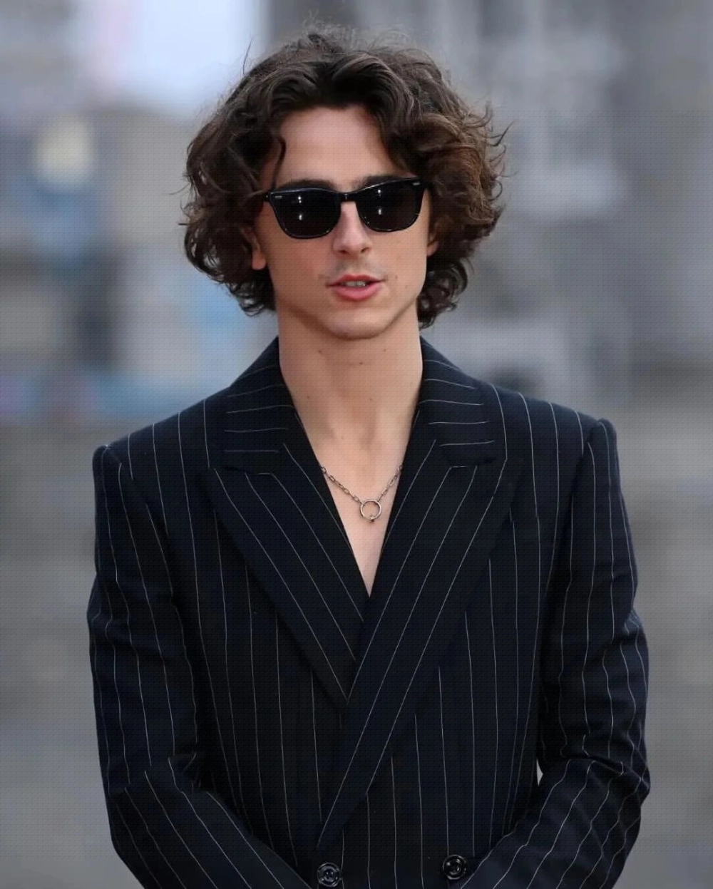 Timothée Chalamet âge (tuổi) và sự nghiệp rực rỡ ở tuổi 29