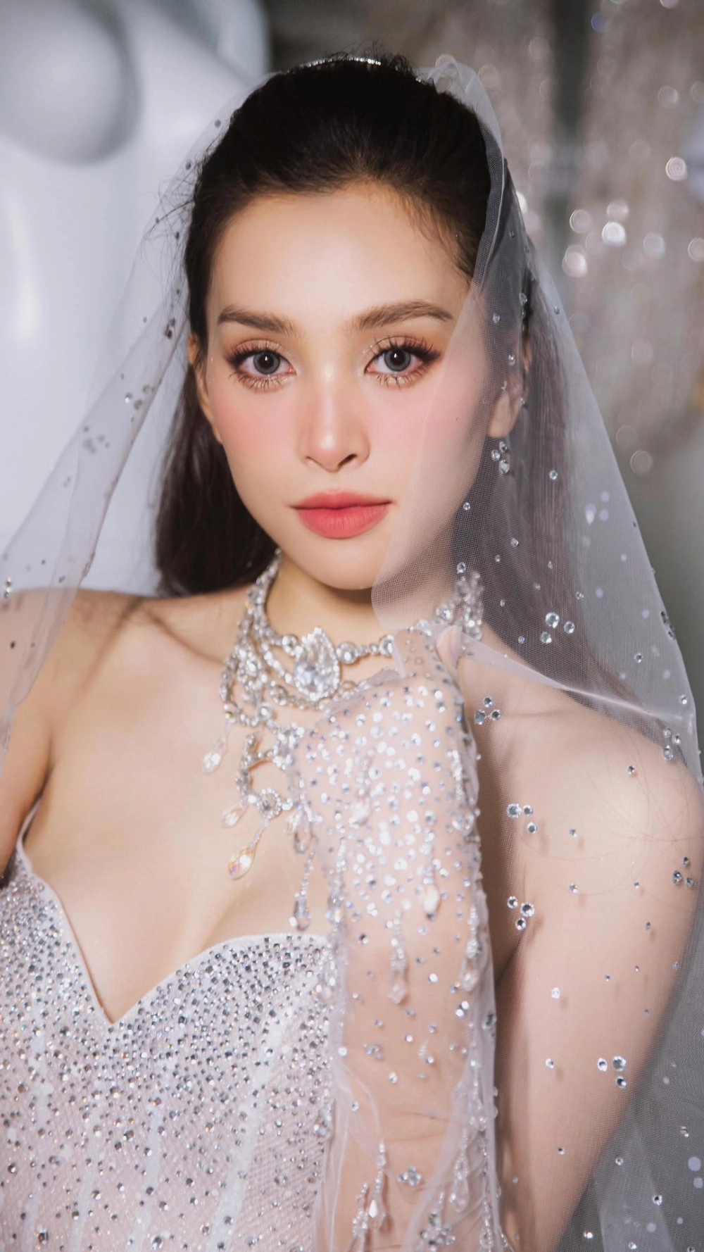Trần Tiểu Vy học vấn và thông tin về trình độ học vấn của nàng hậu