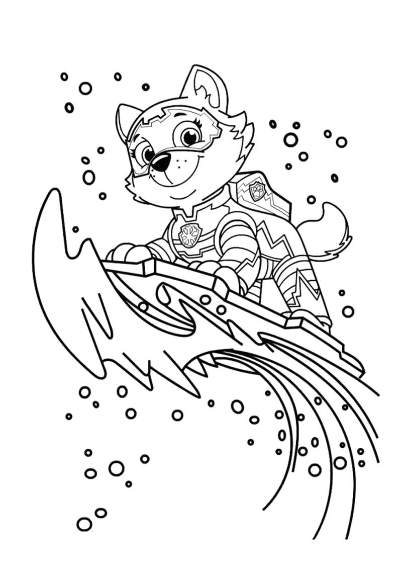 Tranh tô màu chó cứu hộ là như thế nào