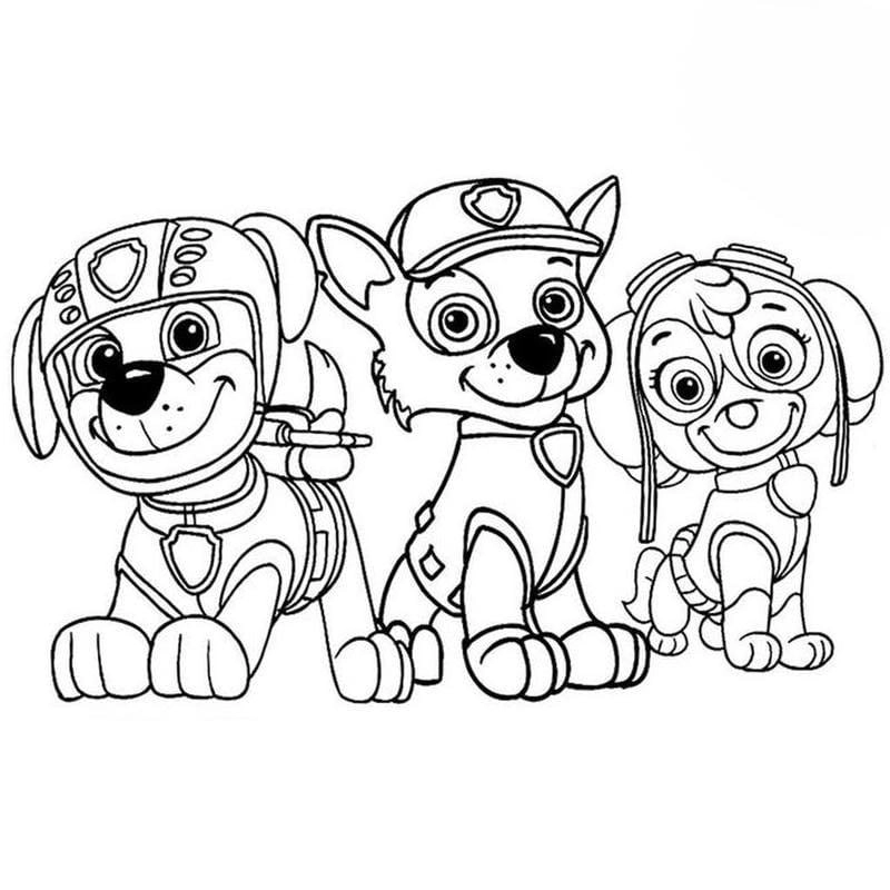 Thỏa sức sáng tạo với tranh tô màu đội chó cứu hộ đầy màu sắc thú vị