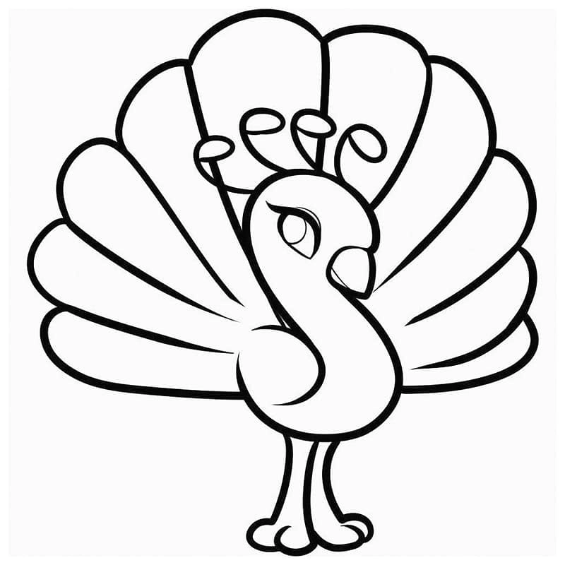 Bộ sưu tập tranh tô màu con công cho bé