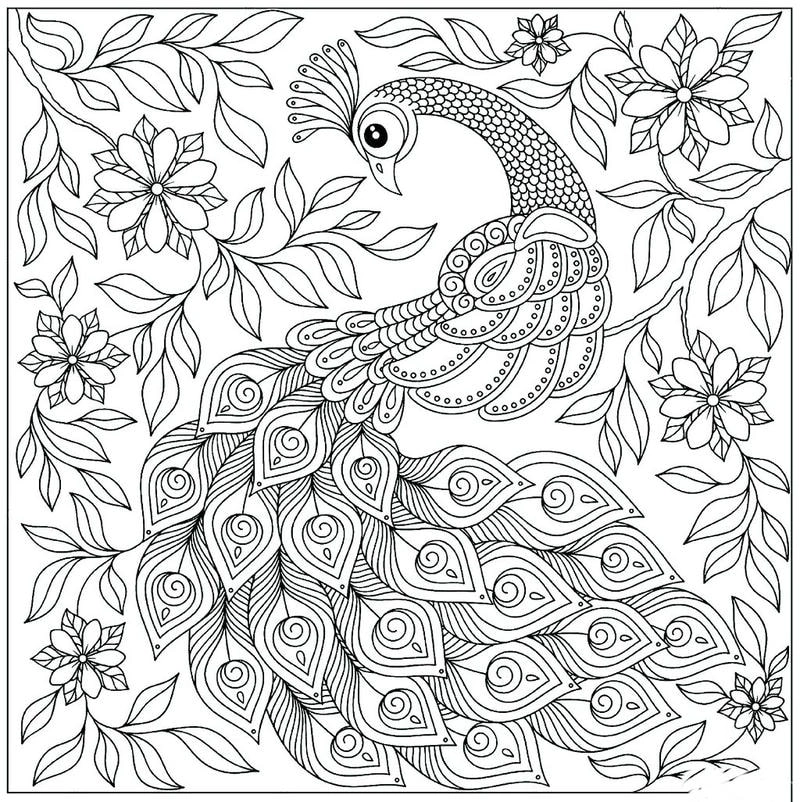 Trọn bộ tranh tô màu hình con công đầy màu sắc