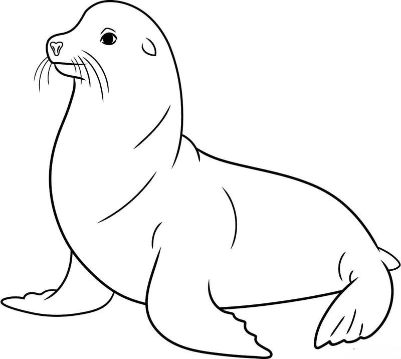 Tận hưởng giờ chơi với Tranh tô màu sư tử biển hoạt hình thú vị