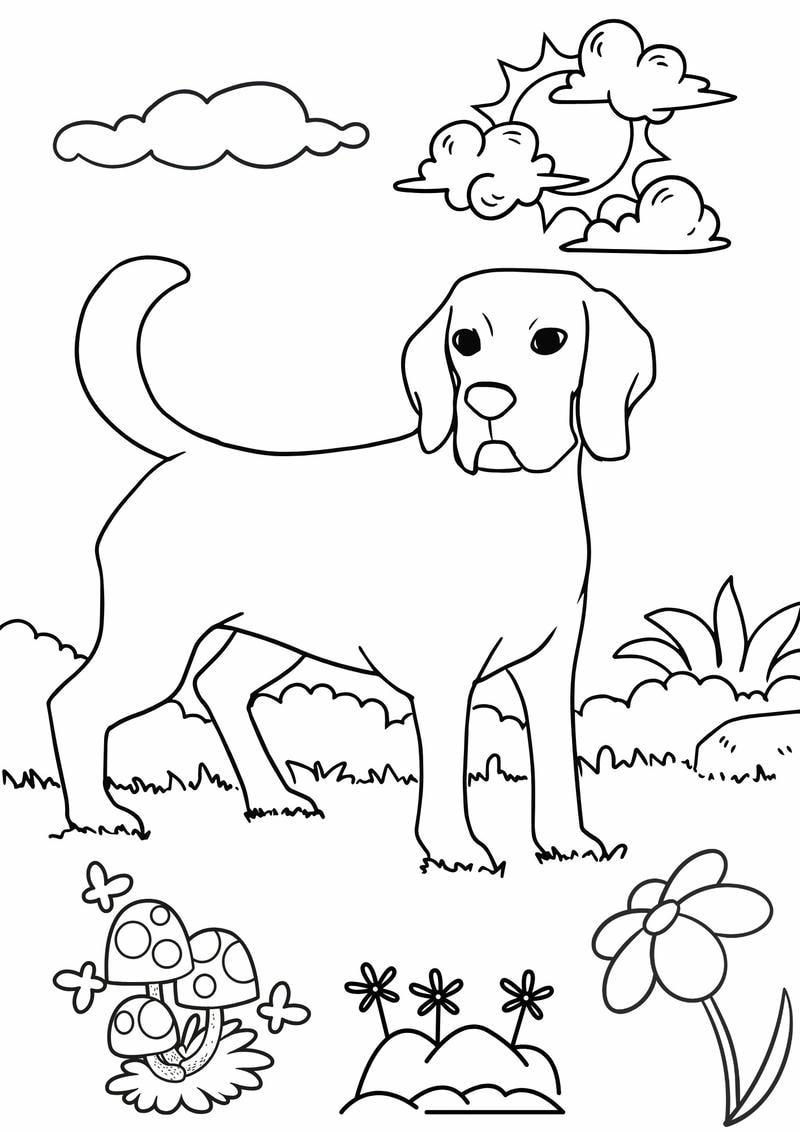 Vui học cùng tranh tô màu con vật nhiều đường nét sáng tạo