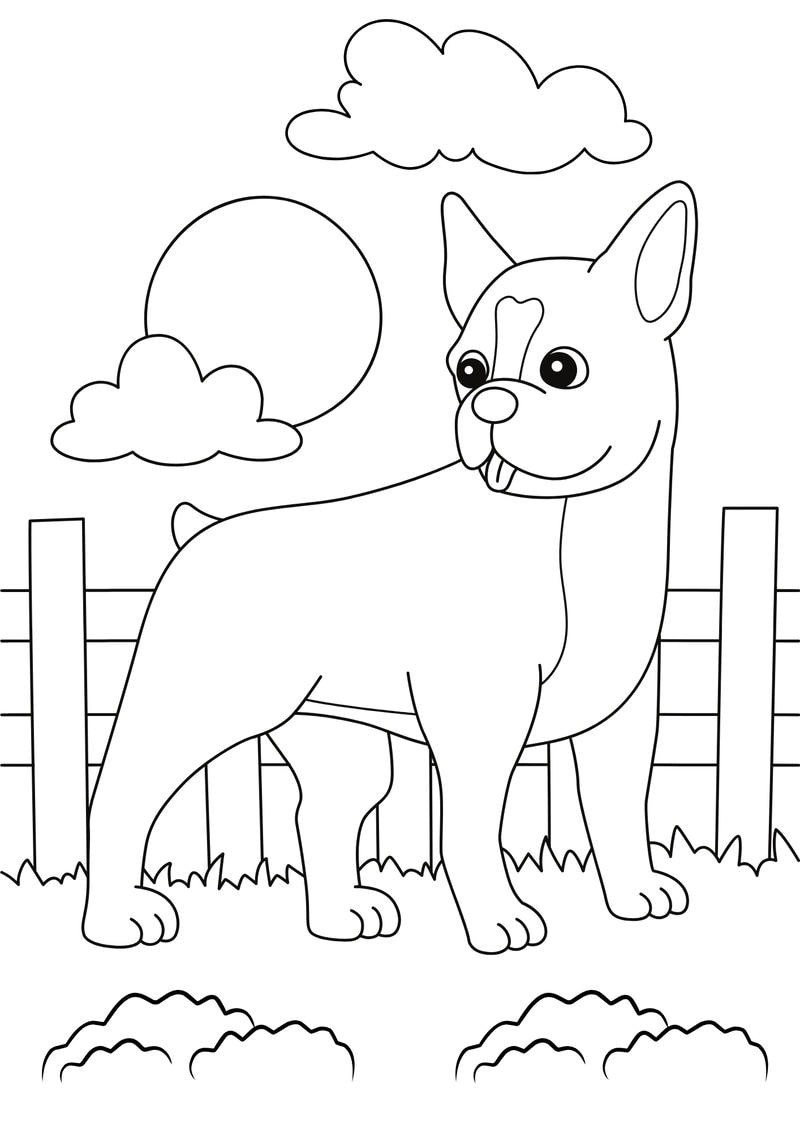 Thích thú cùng tranh tô màu con vật hoạt hình chi tiết phức tạp