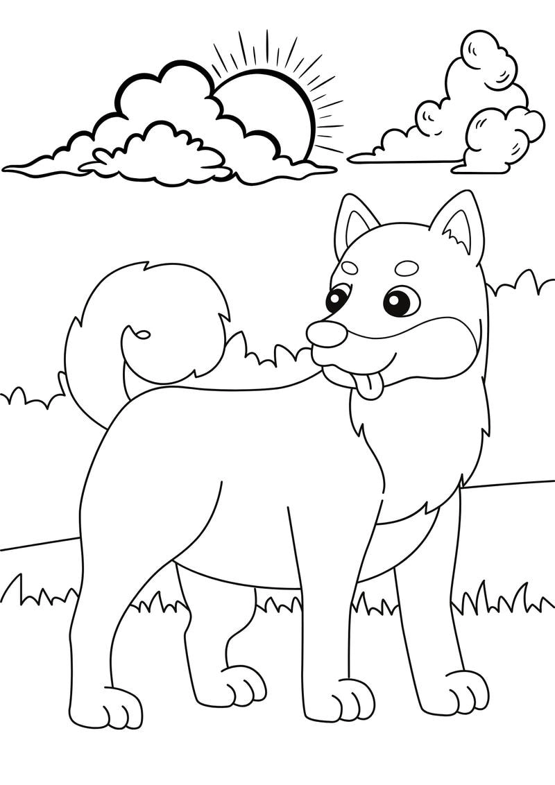 Khám phá tranh tô màu con thú hoang chi tiết cao đầy màu sắc