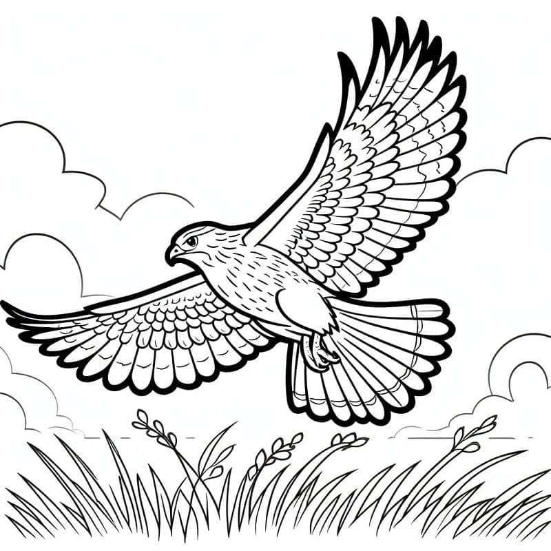 Thỏa sức sáng tạo với tranh tô màu con vật bay giúp bé thông minh