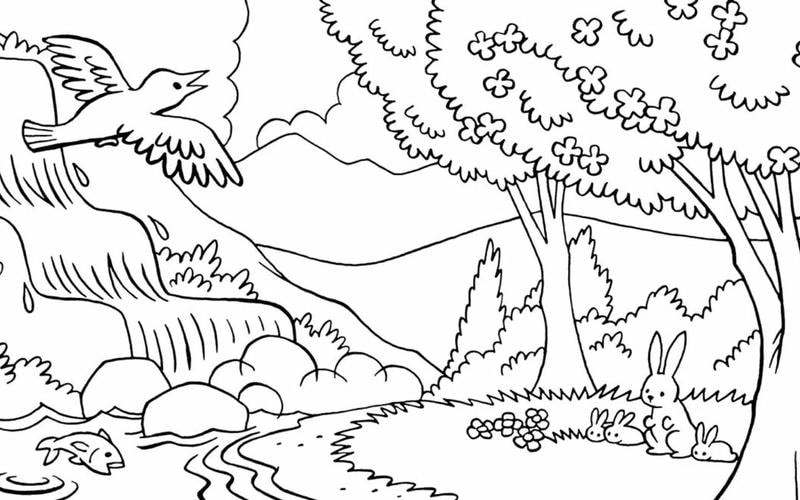 Trang trí không gian học tập với tranh tô màu con vật khó trang trí