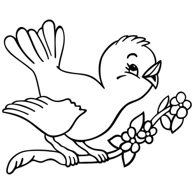 Thế giới hoạt hình với tranh tô màu 3d động vật hoạt hình vui nhộn