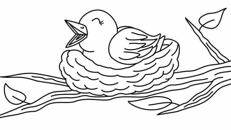 Khám phá tranh tô màu 3d động vật hoang dã sống động và thú vị