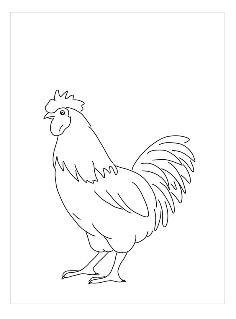 Khám phá bộ con gà trống tô màu cực dễ thương cho bé