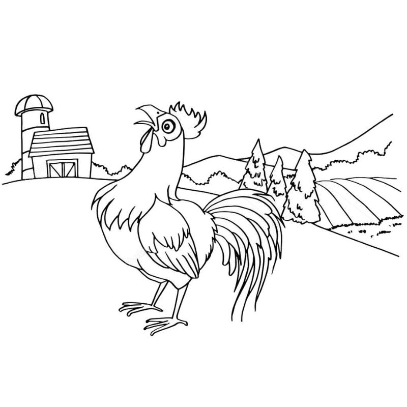 Tải ngay hình con gà trống tô màu sống động và thú vị