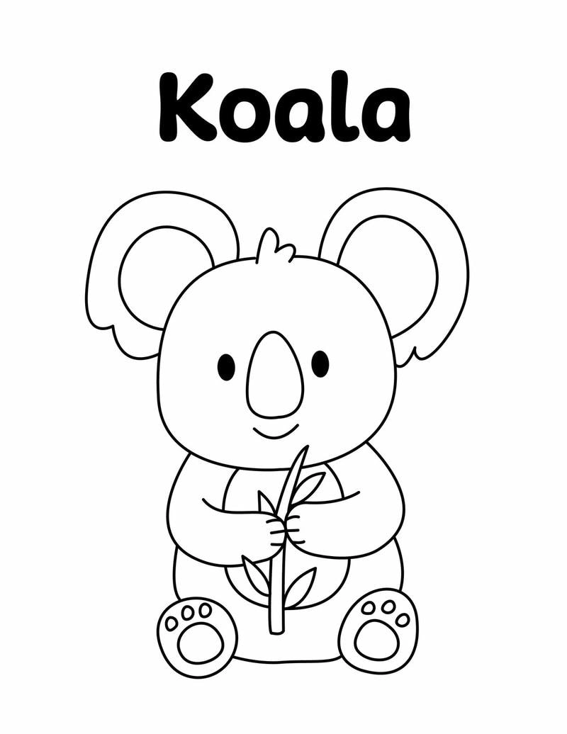 Bé học màu sắc với tranh tô màu koala đơn giản sinh động