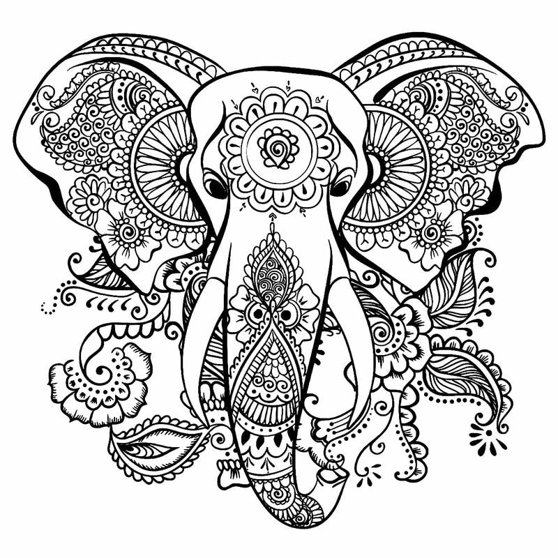 Khám phá mandala động vật cho bé giúp bé sáng tạo và rèn luyện tư duy