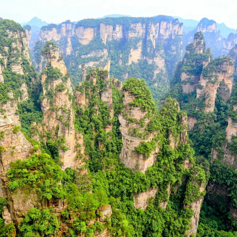 Tải ngay Trương Gia Giới độc đáo