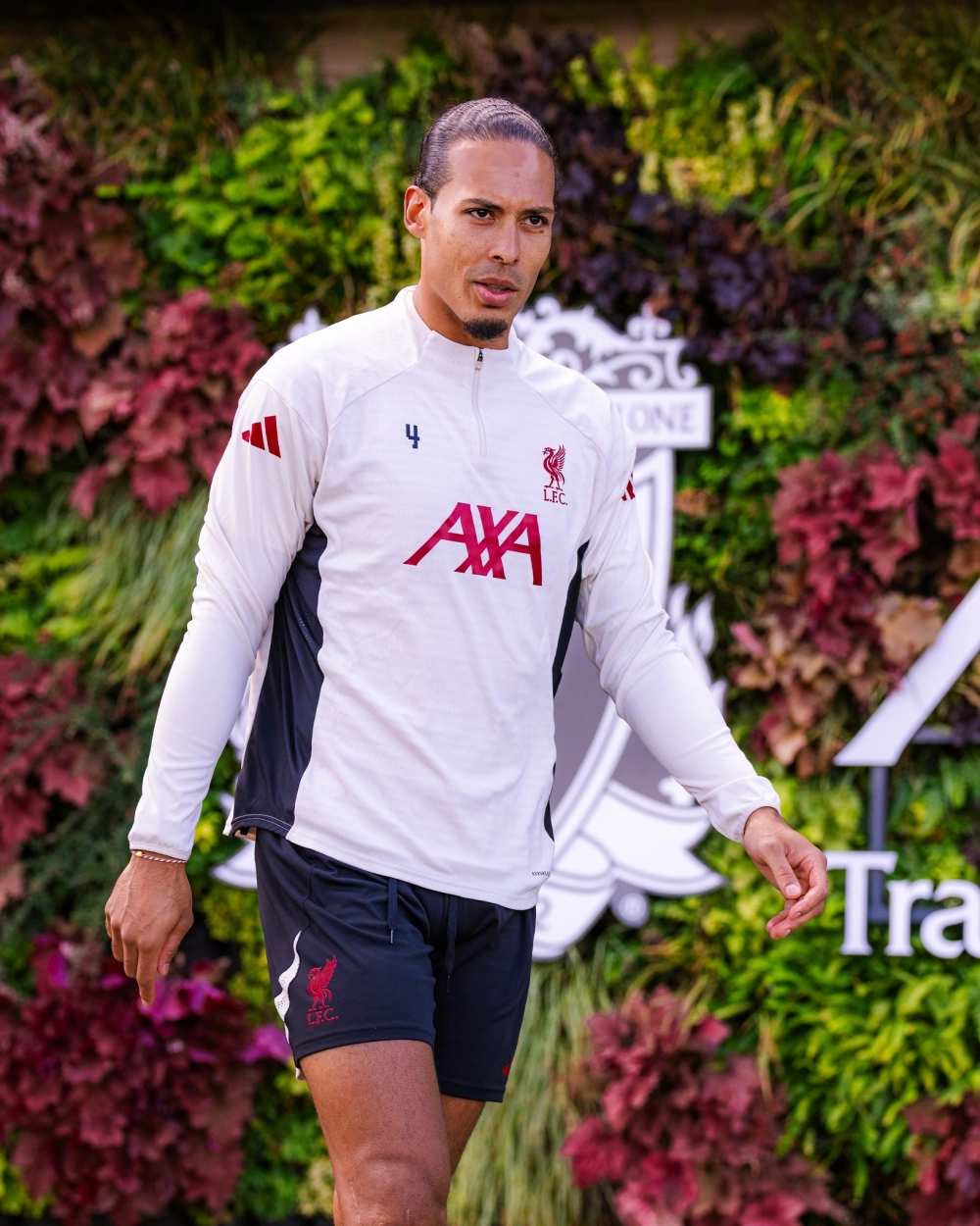 Estadísticas de Virgil van Dijk và các thống kê sự nghiệp ấn tượng