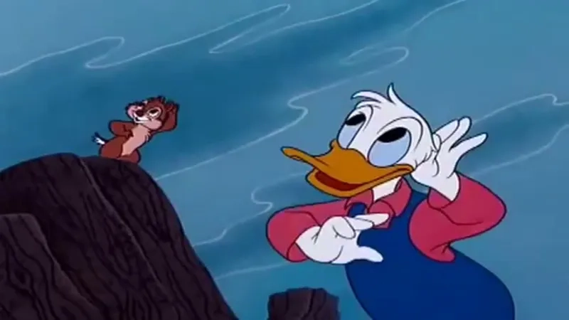 Vịt Donald meme là gì?