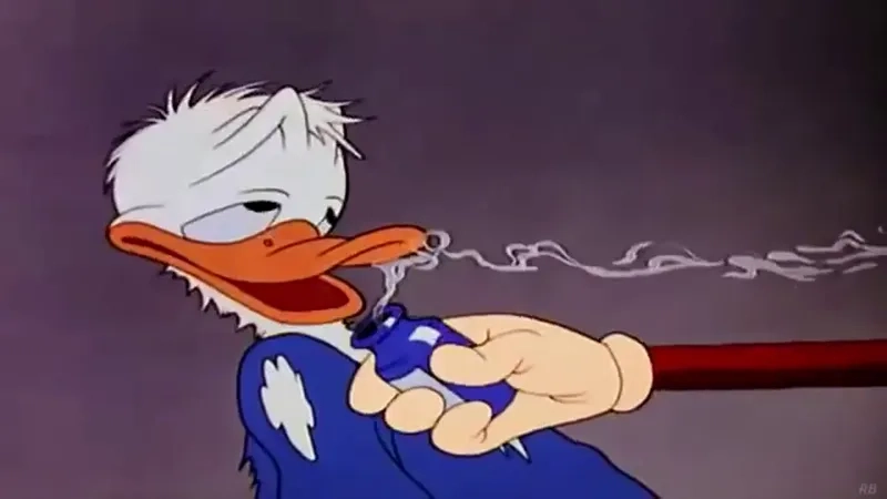 Bộ ảnh vịt donald đi đáng yêu khó cưỡng