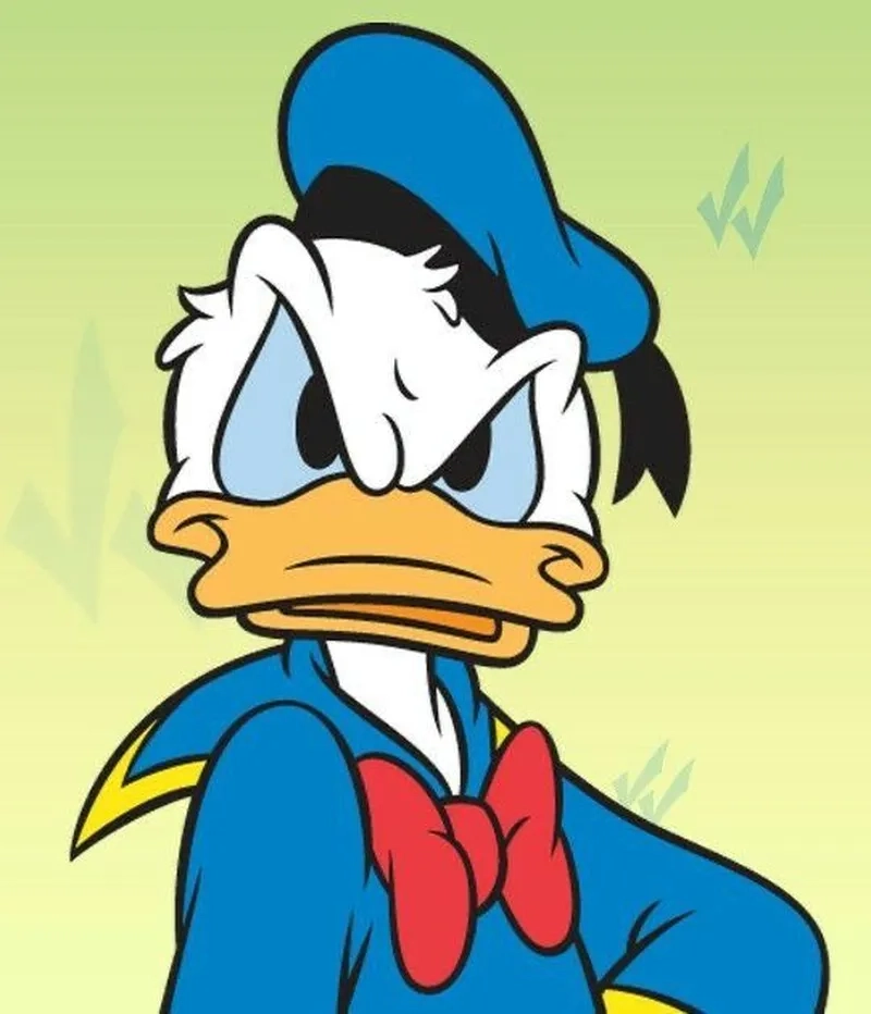 Khám phá donald meme mới lạ độc quyền