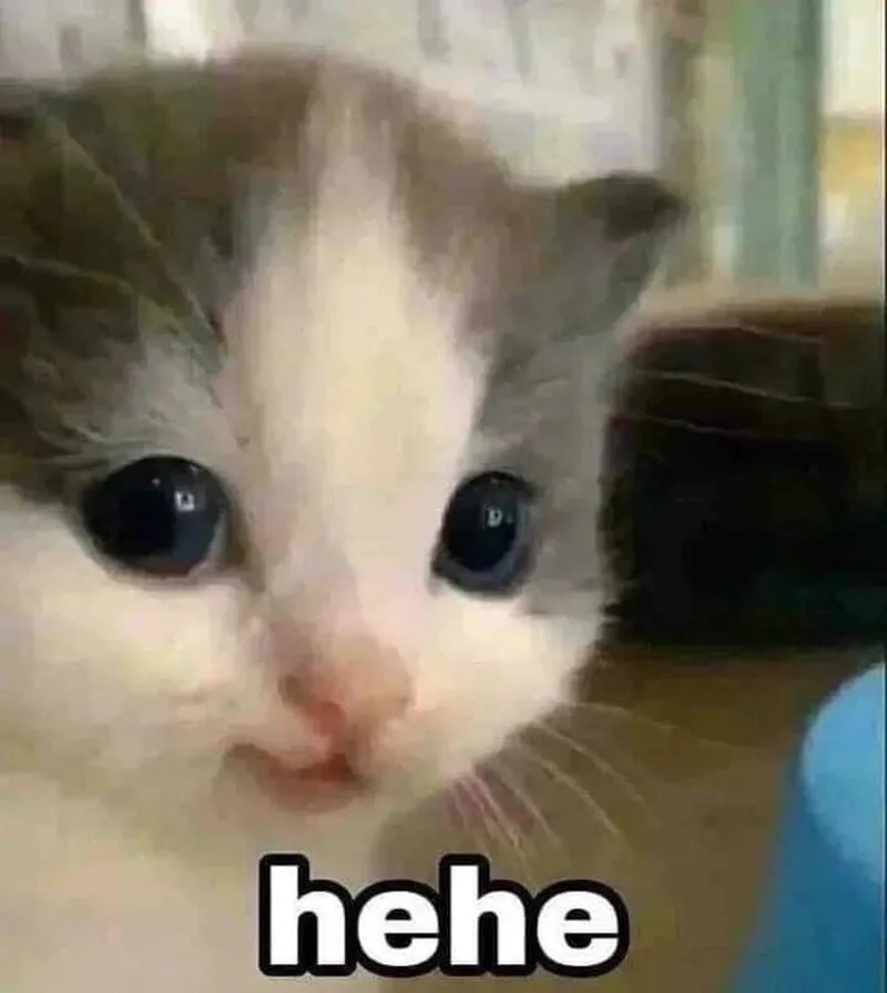 Bộ sưu tập vô tri meme hot trend cho giới trẻ