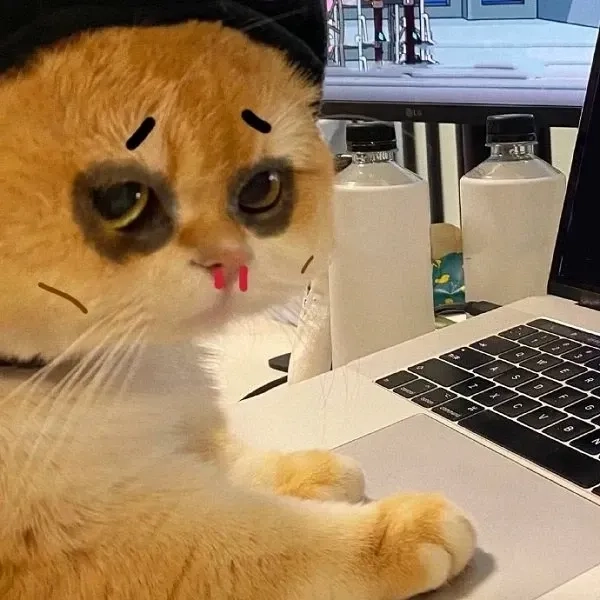 Đừng bỏ lỡ ảnh vô tri meme dễ thương bá đạo